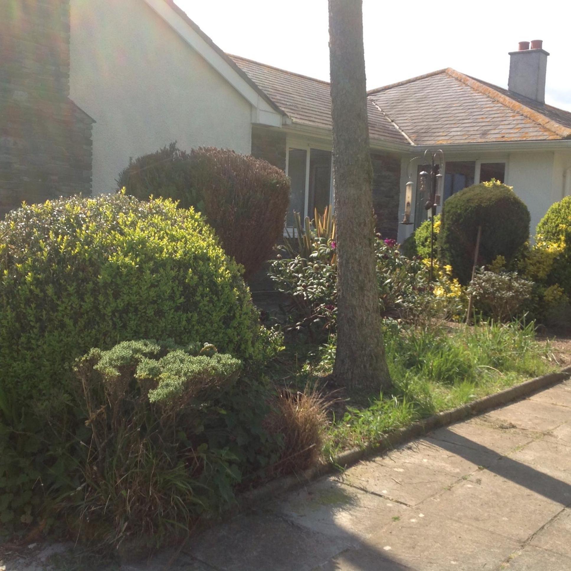 Estuary View Farm Bed & Breakfast Kingsbridge  Exterior photo